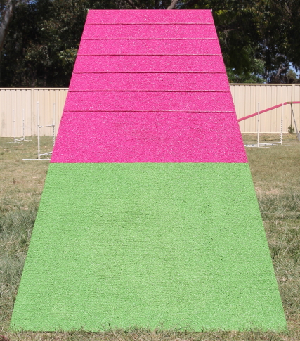 dpp_0256