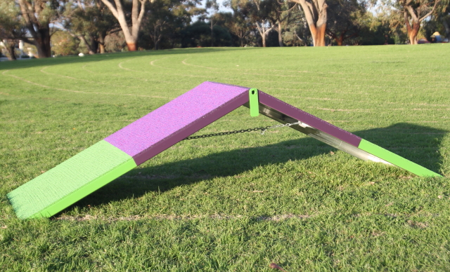 Dog agility best sale mini a frame